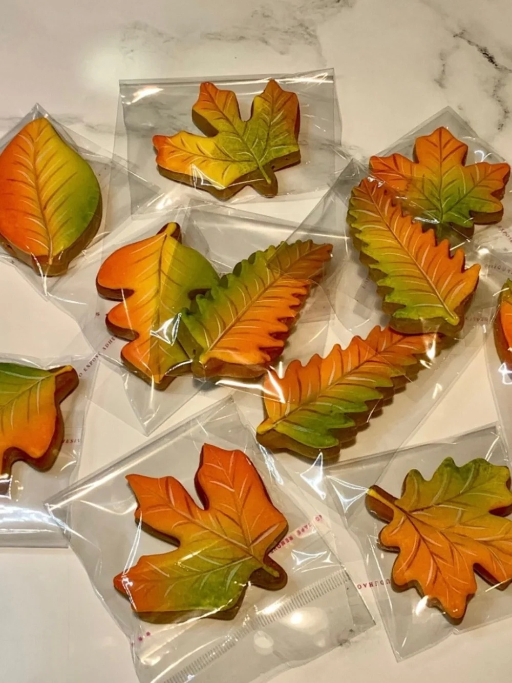 6-Piece Metal Fall Cookie Cutter Set – Maple, Oak & Aspen Leaves, Acorn